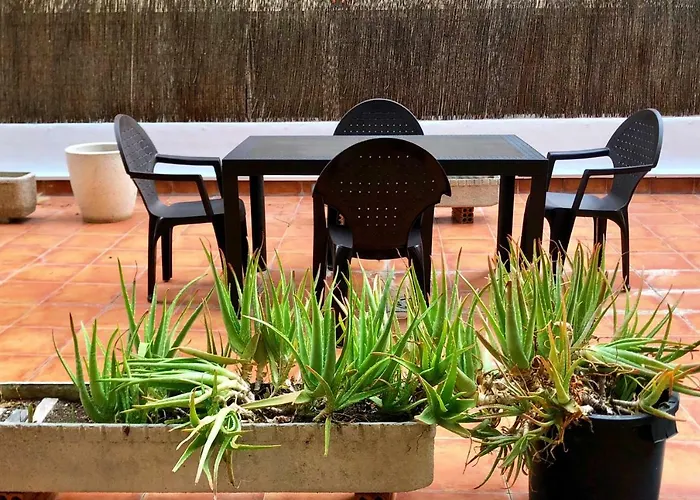 El Jardin De Veronica Apartment